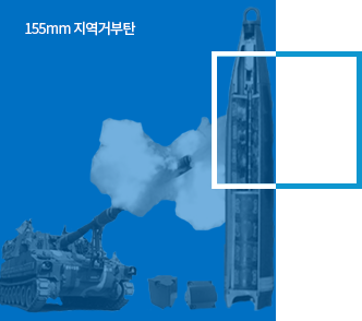 방호체계