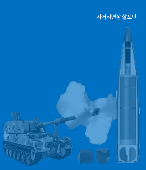 방호체계
