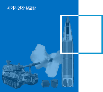 방호체계