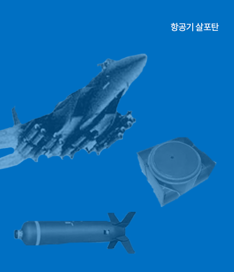 방호체계