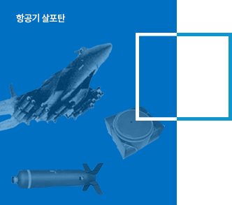 방호체계