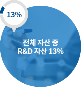 13%, 전체 자산 중 R&D 자산 13%