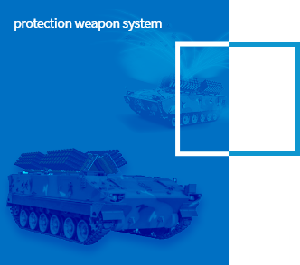 protection weapon system