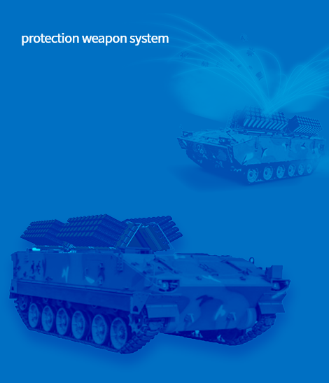 protection weapon system