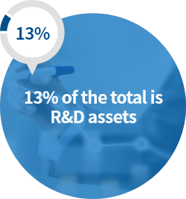 13%, 전체 자산 중 R&D 자산 13%